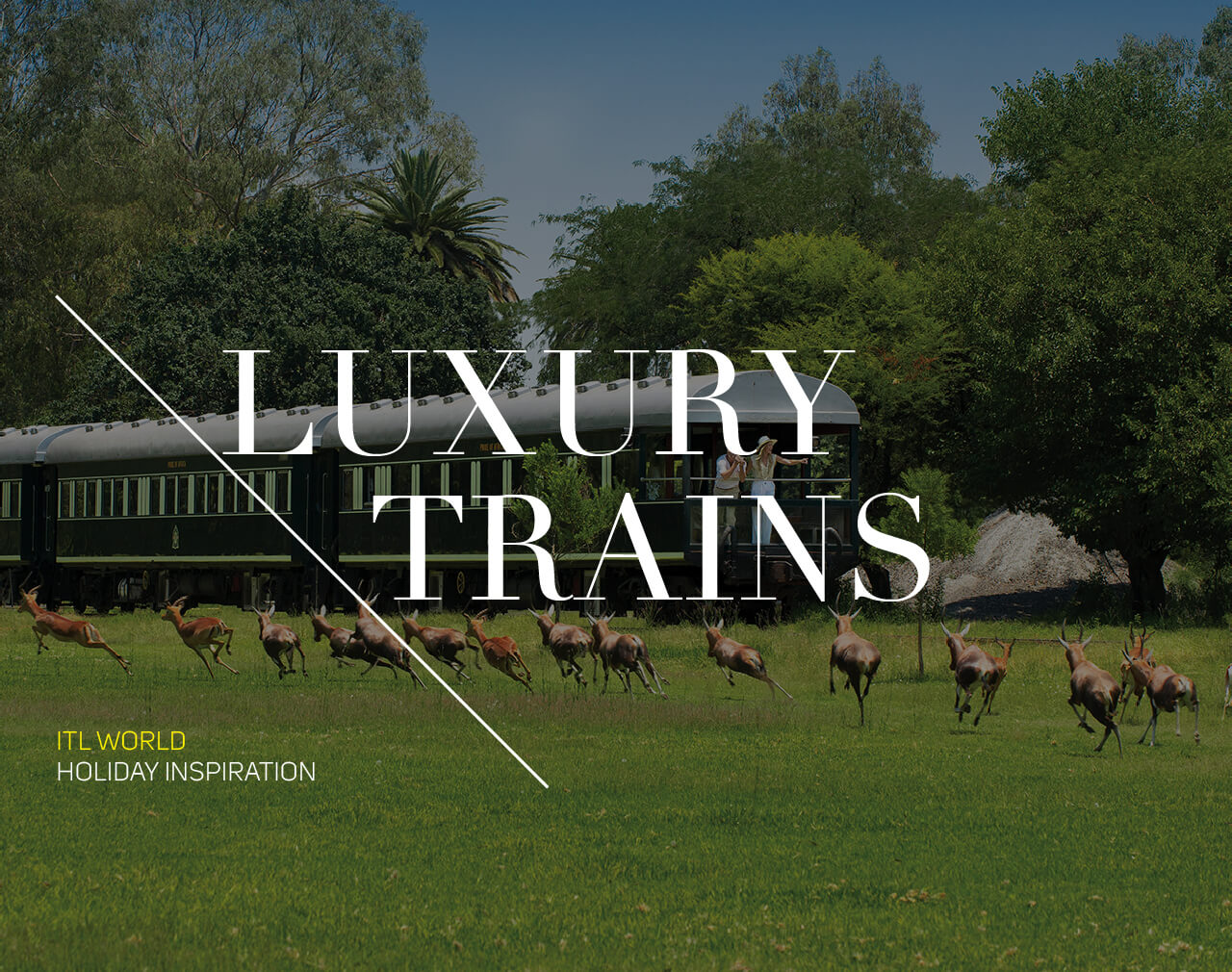 LUXURY TRAINS