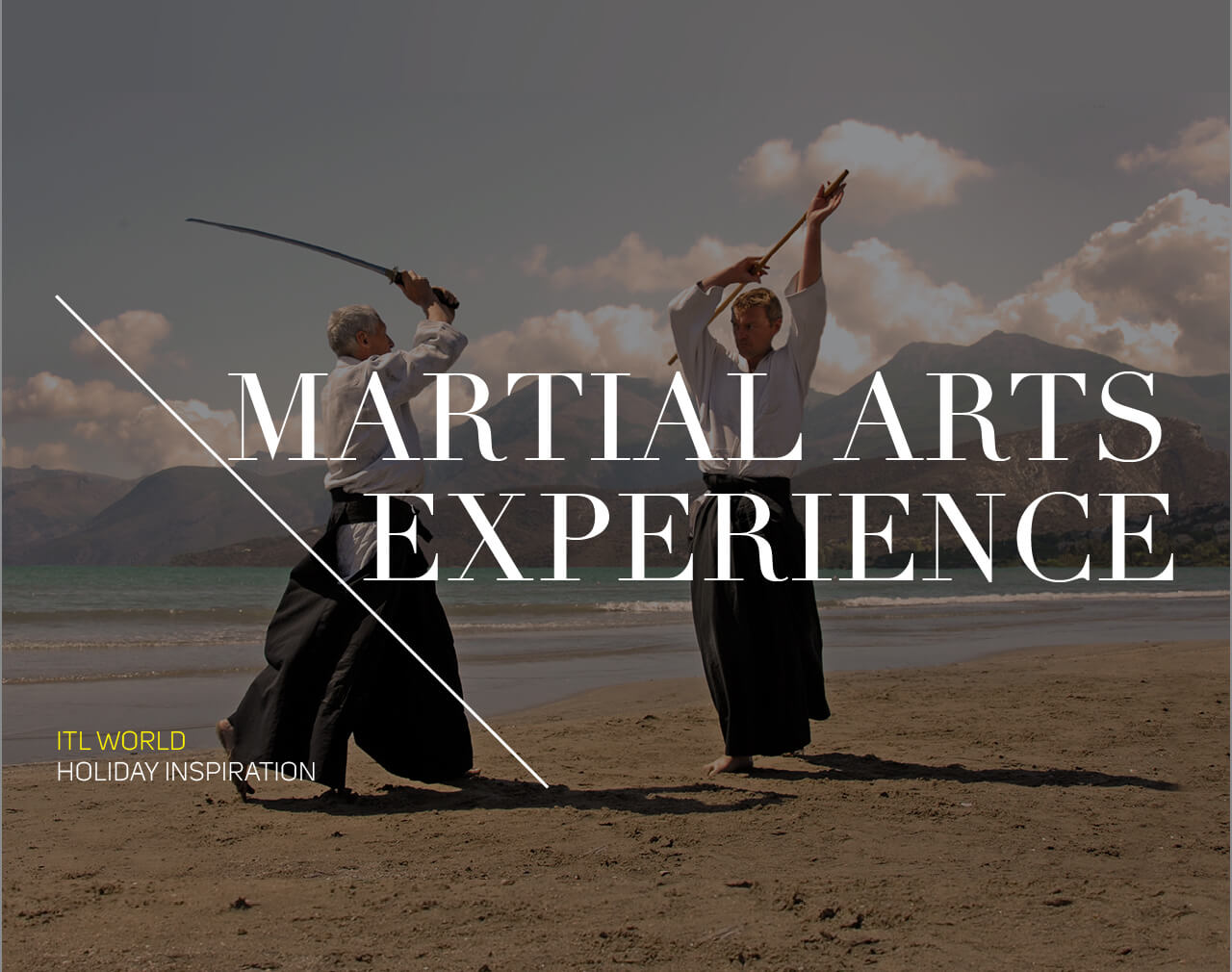 MARTIAL ARTS EXPERIENCE