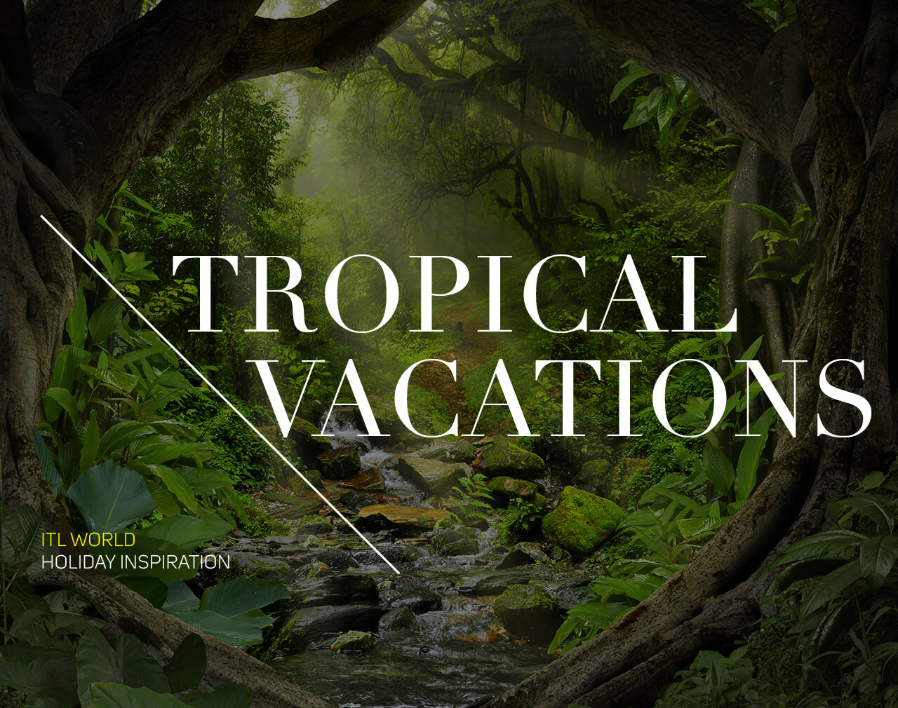 TROPICAL VACATIONS