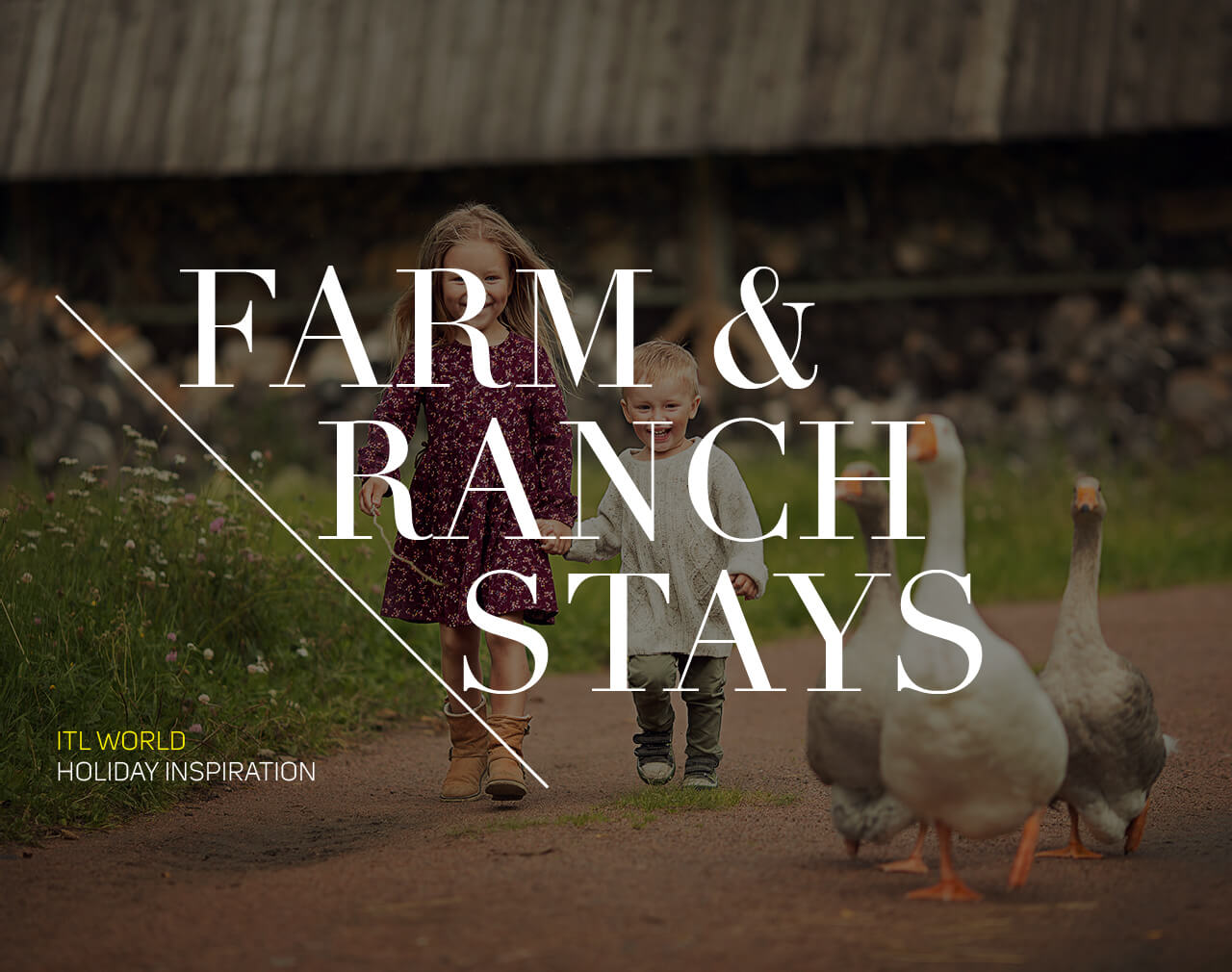 FARM & RANCH STAYS